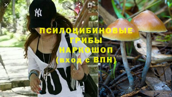 амфетамин Алексин